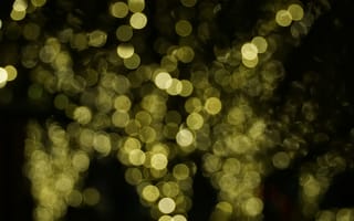 Картинка размытость, огни, фоны, боке, свет, декор, золотой