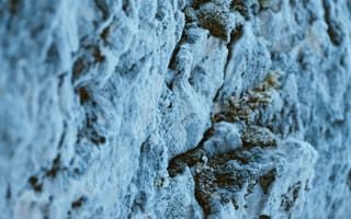 Картинка камень, текстура, природа, синий, мох, гладкий, фоновое