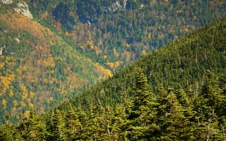 Картинка природа, горы, лес, осень, пейзаж, зелень, цвета