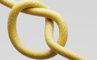 Картинка веревка, узел, жёлтый, текстура, дизайн, минимализм, фоновое изображение