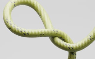 Картинка змея, зеленый, петля, природа, животное, фото, обои