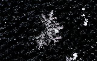 Картинка снег, снежинка, зима, природа, холод, красота, макро