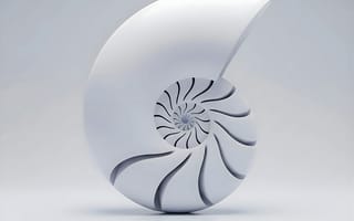 Картинка ракушка, дизайн, минимализм, абстракция, белый, гладкий, формы