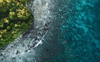 Картинка природа, океан, пейзаж, берег, лес, вода, отдых, пейзажный, тропики, солнце