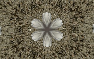 Картинка абстракция, узор, цветок, текстура, графика, дизайн, фоновое изображение