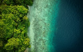 Картинка природа, океан, лес, пейзаж, водоем, зелень, берег