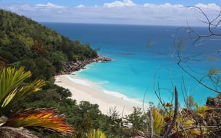 Картинка пляж, океан, природа, пейзаж, отдых, тропики, солнце