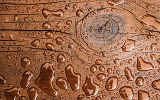 Картинка доска, вода, капли, дерево, текстура, природа, мокрый