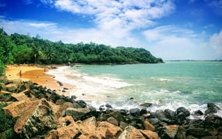 Картинка пляж, море, природа, пейзаж, камни, деревья, небо