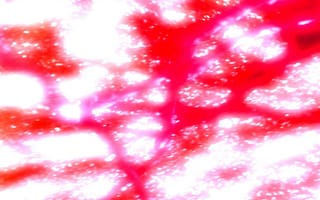 Картинка абстракция, яркий, цвет, гладкий, текстура, свет, красный