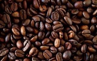 Картинка кофе, зерна, напиток, аромат, крупный план, еда, культура
