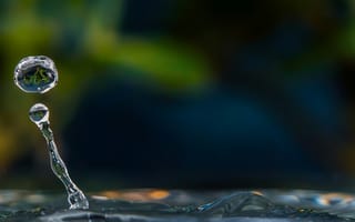 Картинка вода, капля, природа, макро, фото, отражение, гладь