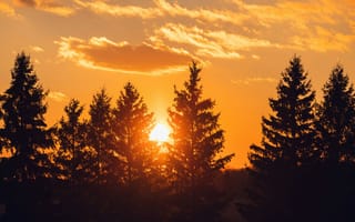 Картинка закат, деревья, природа, пейзаж, небо, солнце, осень