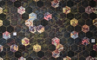 Картинка обои, цветы, геометрия, дизайн, интерьер, стена, модерн