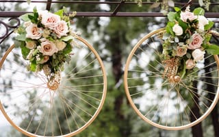 Картинка цветы, велосипедные колеса, деревья