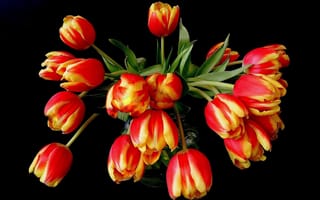 Картинка цветы, желтый, тюльпаны, оранжевый, красный, букет