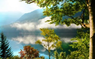 Картинка утро, отражение, горы, лес, озеро, туман, деревья