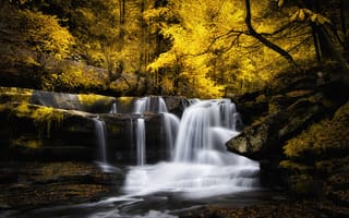 Картинка каскад, поток, водопад, река, осень, лес