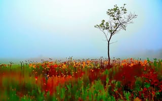 Картинка colorful, autumn, tree, painterly, single, selective, blur