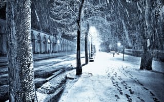 Обои улица, алейка, ночь, фонари, снег, город