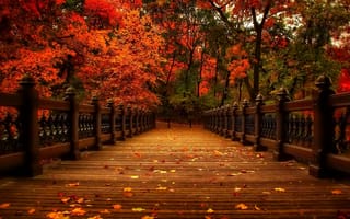 Картинка природа, walk, view, autumn, аллея, листья, осень, парк, деревья