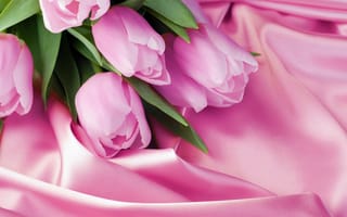 Картинка 8 марта, шелк, розовый, тюльпаны