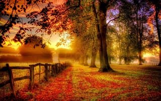 Картинка colors, walk, trees, nature, colorful, path, road, park, leaves, autumn, fall, листья