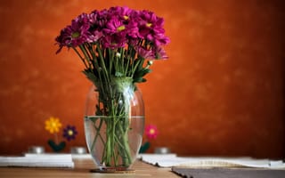 Картинка размытость, вода, розовые, ваза, цветы