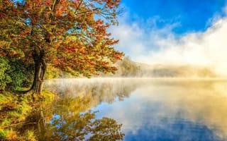 Картинка Природа, река, деревья, осень