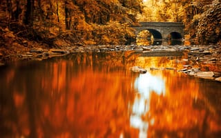 Картинка лесопарк, листья, вода, мостик
