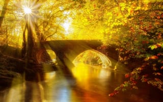 Картинка река, осень, мостик, солнечный день