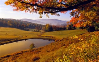 Картинка осень, сельский пейзаж