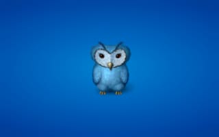 Картинка owl, синеватый фон, минимализм, птица, сова, синяя