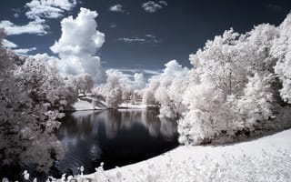 Картинка зима, деревья, река, берег, вечер, пейзаж, снег, лес