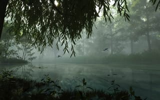 Картинка вода, ивы, туман, стрекозы
