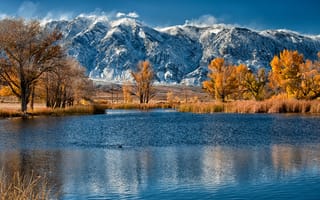 Картинка горы, осень, камыш, деревья, озеро