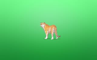 Картинка зеленоватый фон, минимализм, хитрая морда, тигр, tiger