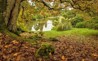 Картинка озеро, деревья, осень