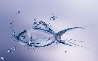 Картинка minimalism, made, bubbles, water, вода, пузырьки, fish, figure, сделан, рыба