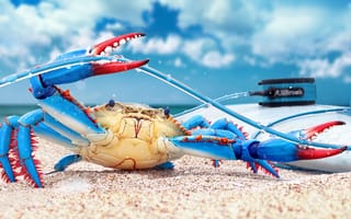 Картинка blue crab, рендеринг, render, краб, digital art