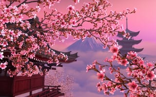 Картинка красиво, сакура, япония, розовое