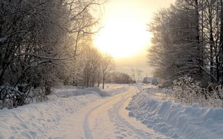 Картинка снег, дорога, зима, дом, закат, деревья