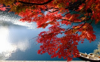 Картинка Природа, осень, река, лодка