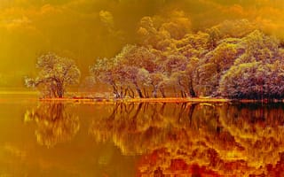 Картинка Природа, деревья, озеро, осень, красиво, отражения