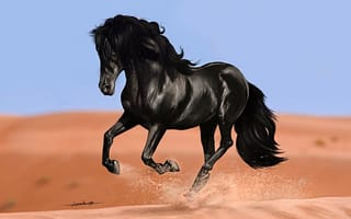 Картинка дюны, бег, арт, вороной, конь, песок