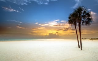 Картинка белый, закат, залив, песок, пляж, пальмы