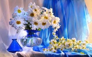 Картинка ваза, цветы, натюрморт, ромашки