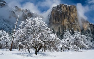 Картинка зима, снег, горы, деревья