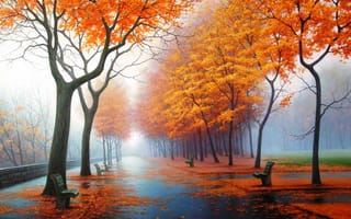 Картинка деревья, дорожки, туман, оранжевые листья