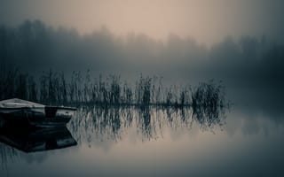 Картинка озеро, лодка, туман